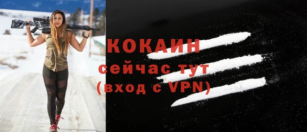 соль ск Богородицк