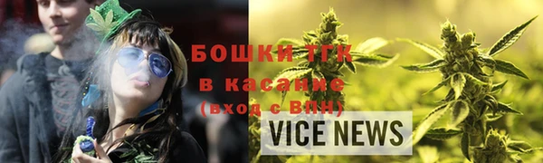 стаф Богданович