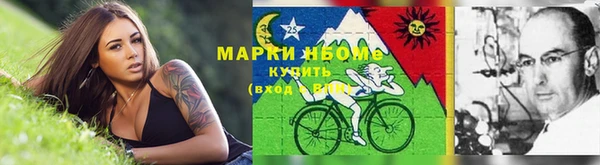 стаф Богданович