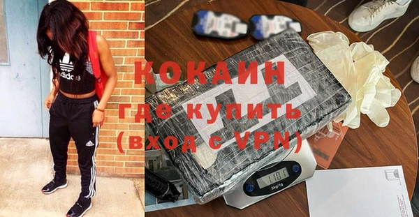 стаф Богданович