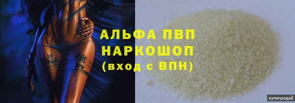 стаф Богданович