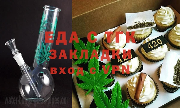 стаф Богданович