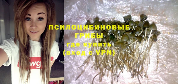 синтетический гашиш Богородск