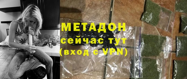 стаф Богданович