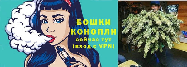 стаф Богданович