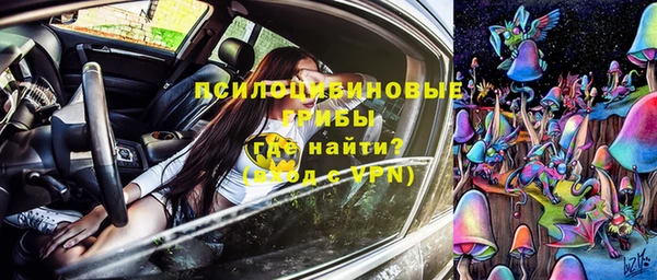 стаф Богданович