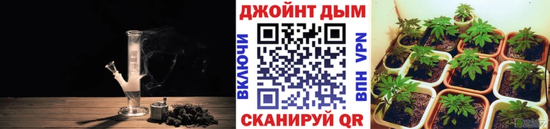 Канабис сатива  купить наркотики сайты  omg онион  Когалым 